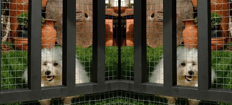 Belgo-tela-serralheiro-1